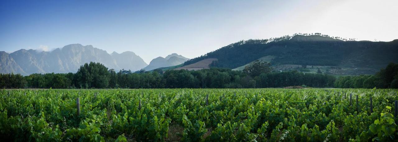 Gite Franschhoek Extérieur photo