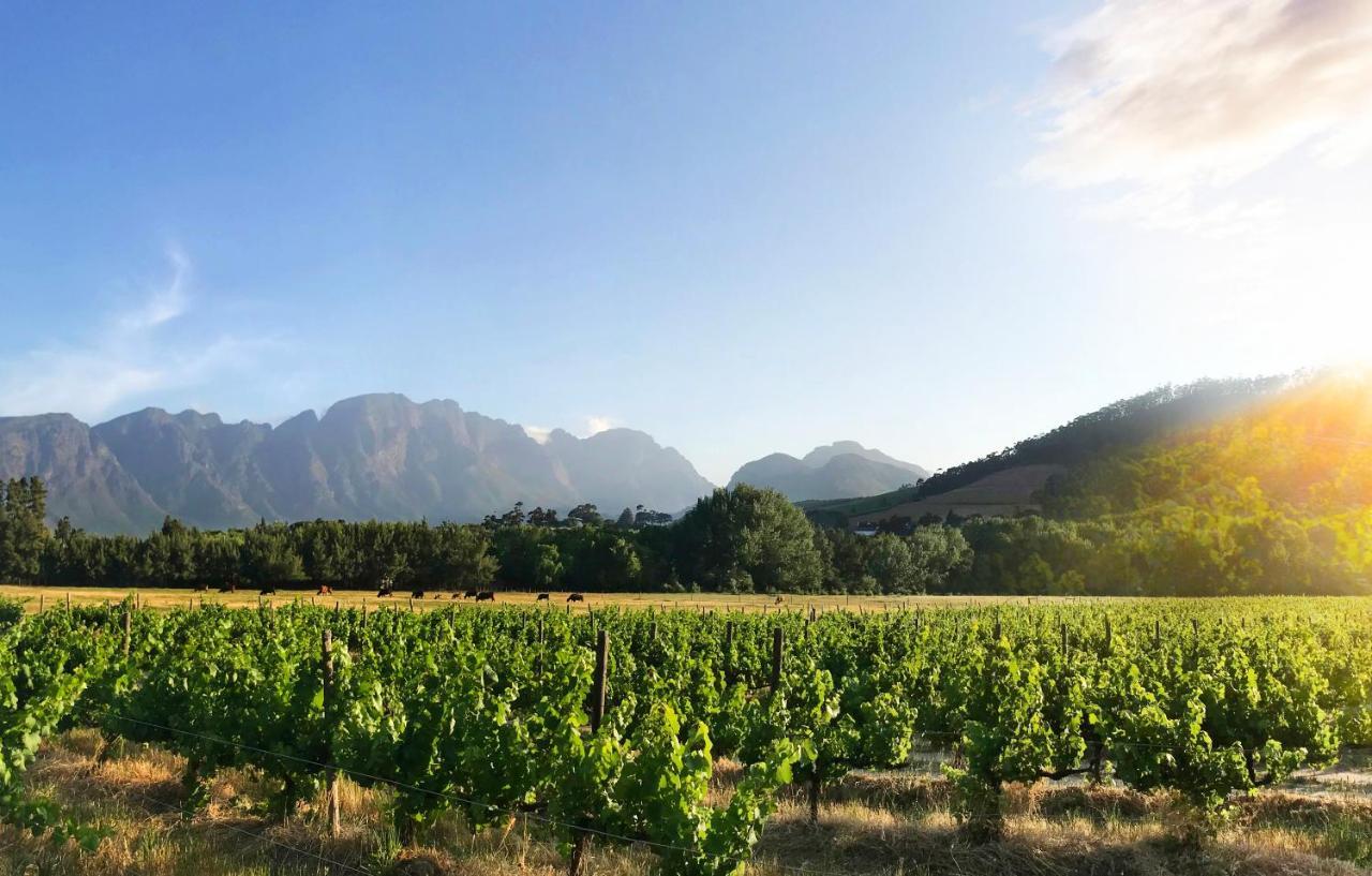 Gite Franschhoek Extérieur photo